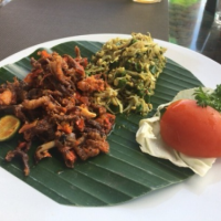 Balinese Food - Balinese Shreded Duck